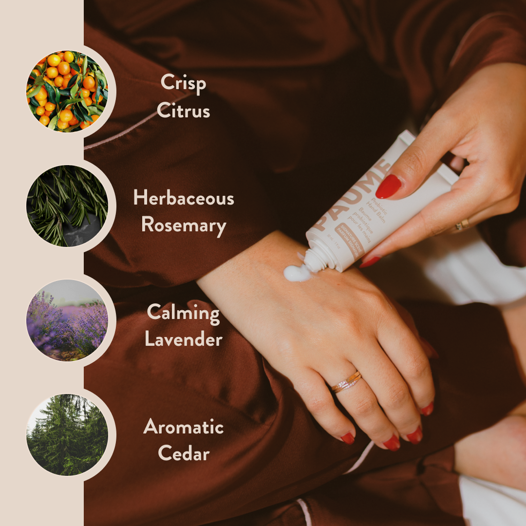 Anti-Aging Probiotic Hand Balm: 2oz - PAUME