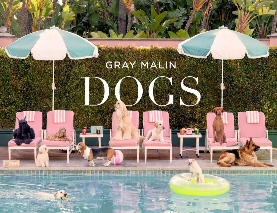 Gray Malin: Dogs | Coffee Table Book