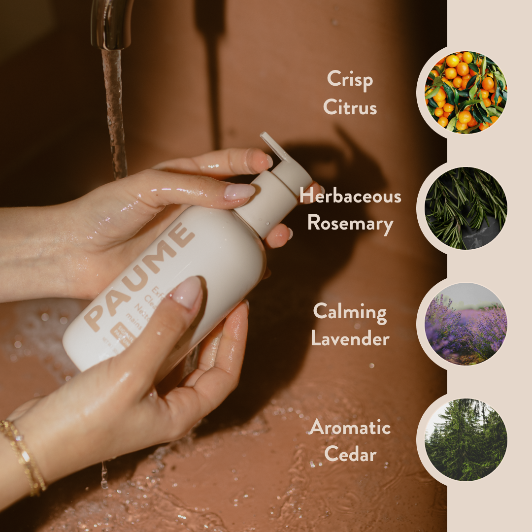 Person holding a PAUME bottle with water, featuring scents and nature-themed icons on a beige background.