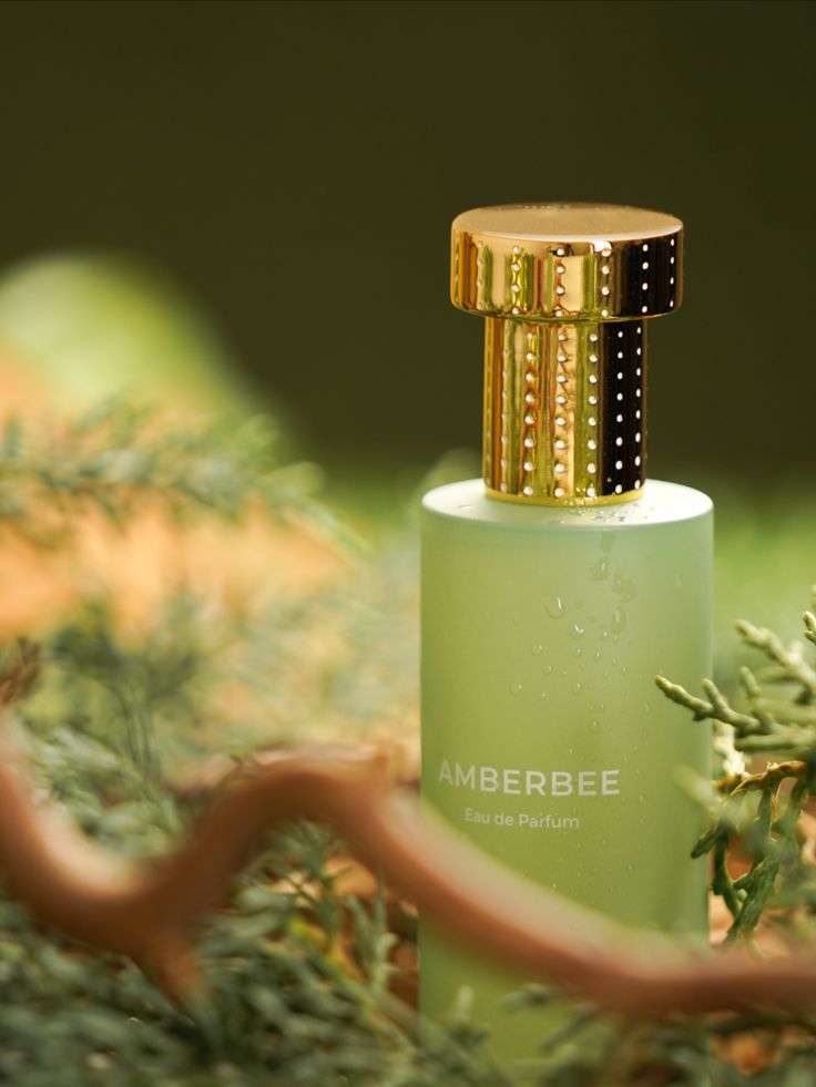 Hermetica - Amberbee